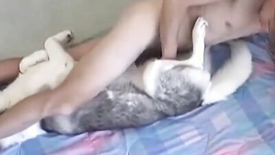 Women's dog sex: zoo sex home yang girls