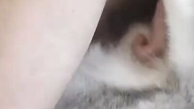 Women's dog sex: zoo sex home yang girls