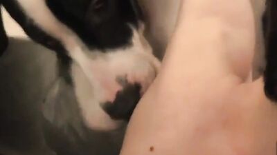 3d zoo porn: zoo porn comics