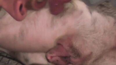 New zoo porn: raven dog porn
