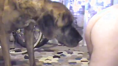 Dog fuck girls fucking: china girl fuck dog