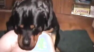 Zoo porno video: black dog fucking girl