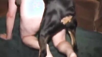 Zoo porno video: black dog fucking girl