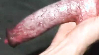 Zoo porno video: black dog fucking girl