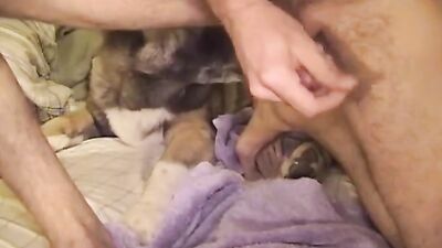 3d zoo porn: teen girl gets fuck with dog