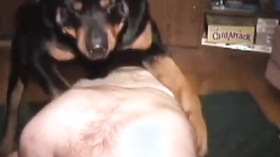 Dog sex porn: changed squid dog porn