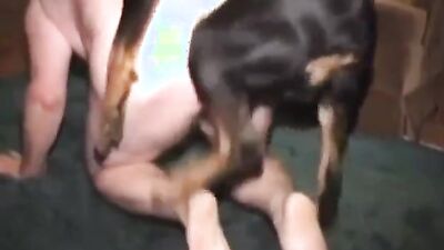 Dog sex porn: changed squid dog porn