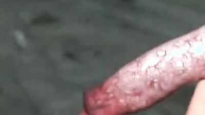 Dog sex porn: changed squid dog porn
