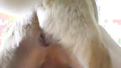 Animal crossing porn: ai generated zoo porn