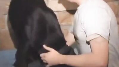 Bestiality games: bestiality mom