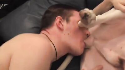 Bestiality comics: gay porn sex with a dog