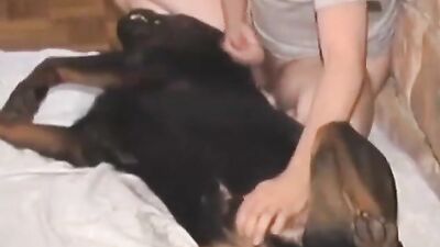Animal dog sex: 3d bestiality dogs fuck