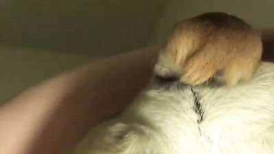 Girls s dogs: horse fucking zoo porn