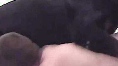 Girl dog video: family sex dog