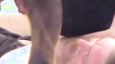 Girl dog video: family sex dog
