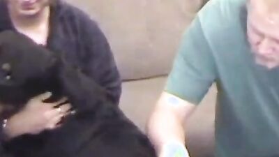 Zoophilia porn: dog sex tube
