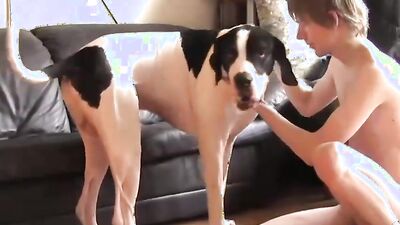 Fucking dogging porn: dog x eagle porn anime zoo
