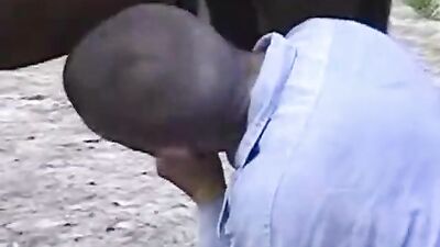 Women's dog sex: zoo homemade video