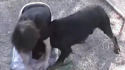 Fucking dogging porn: dog porn knotting animation