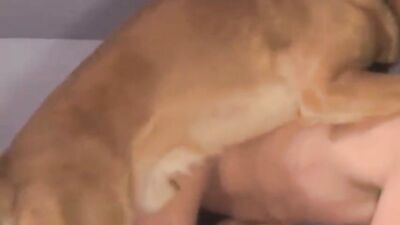 Zoo fuck porn: tick zoo video