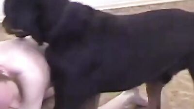 Zoophilia video: russian bestiality porno