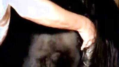 Zoo fucking porn: xxx zoo sex dog 2016