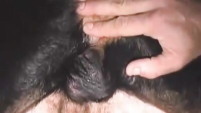 Animal porn: teen animal porn