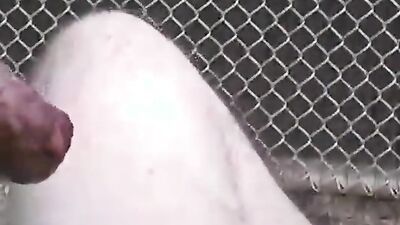 Animal dog sex: beautiful girls dogs