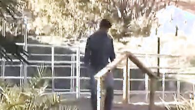 Zoo fuck porn: r knotty zoo porn