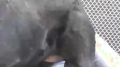 Zoo fuck porn: r knotty zoo porn