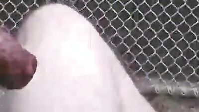 Zoo fuck porn: r knotty zoo porn