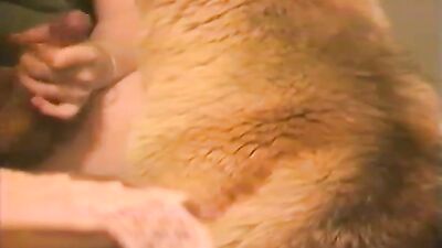 Boy girl dog: vanessa zoo porn