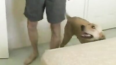 Zoo horse porn: zoo porn sliv sex schoolgirl
