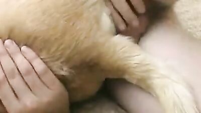 Zoo horse porn: zoo porn sliv sex schoolgirl