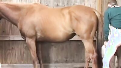 Dog sex porn: russ zoo porn