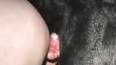 3d dog porn: dog porn videos bestiality