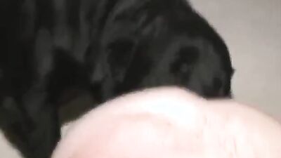 3d dog porn: dog porn videos bestiality