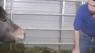 2 dogs 1 girl: sex anal real zoo
