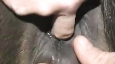 2 dogs 1 girl: sex anal real zoo