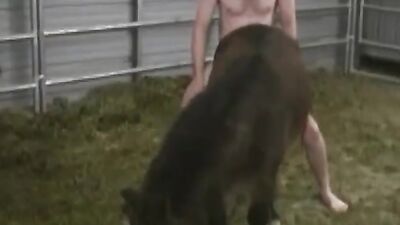 2 dogs 1 girl: sex anal real zoo