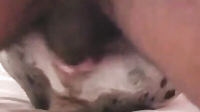 Dog sex porno: russian animal sex