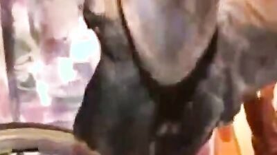Zoo sex porn: teen has sex with dog