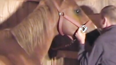Bestiality horse: dog licking girl porn
