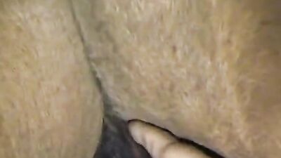Bestiality horse: dog licking girl porn
