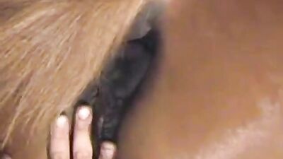 Bestiality horse: dog licking girl porn