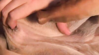 Girl having dog: dog anal fuck porn