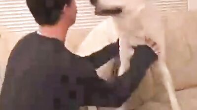 Bestiality porno: skyrim zoo porn