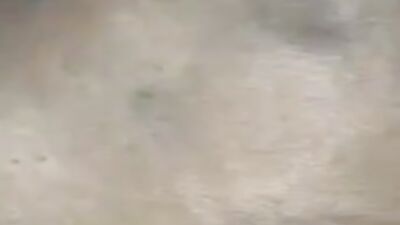 Zoophilia video: see sex with animals