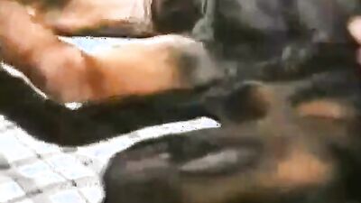 Zoophilia: dog real porn human