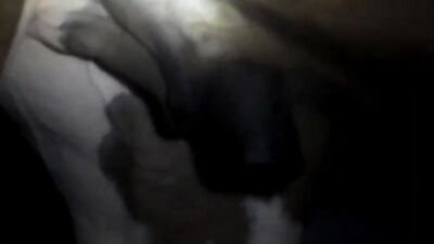 Dog fuck girl: music video zoo porno
